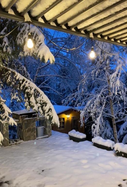 Вилла Mountain Chalet - Cabana La Muntele Baisorii Muntele Cacovei  Экстерьер фото