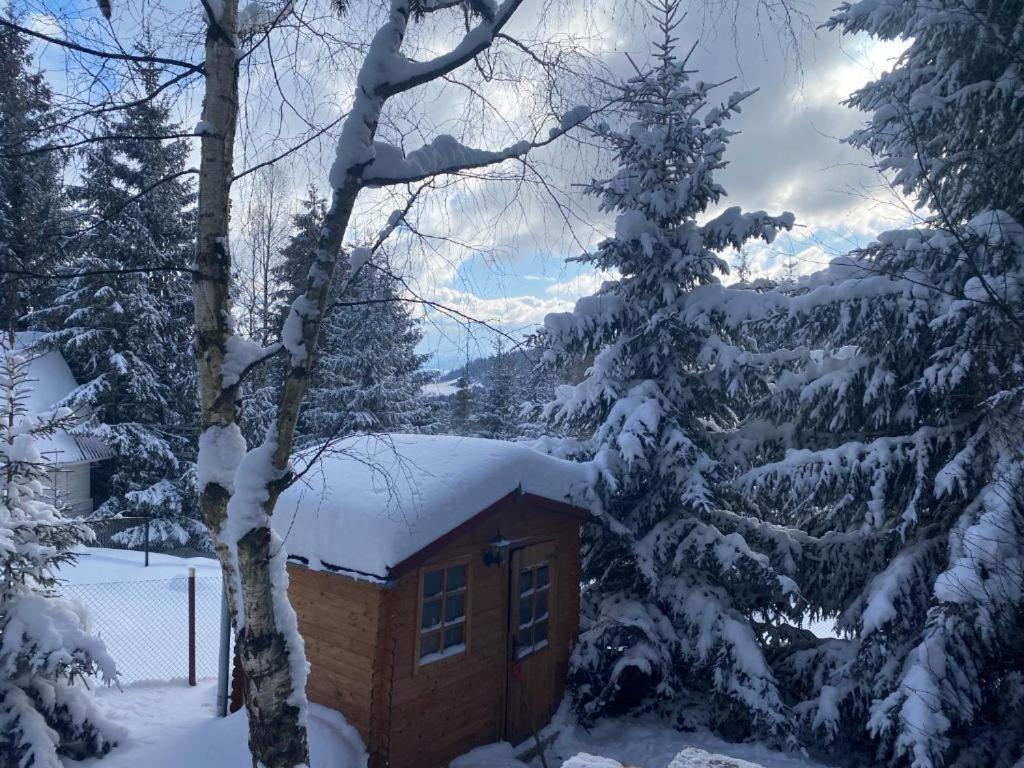 Вилла Mountain Chalet - Cabana La Muntele Baisorii Muntele Cacovei  Экстерьер фото