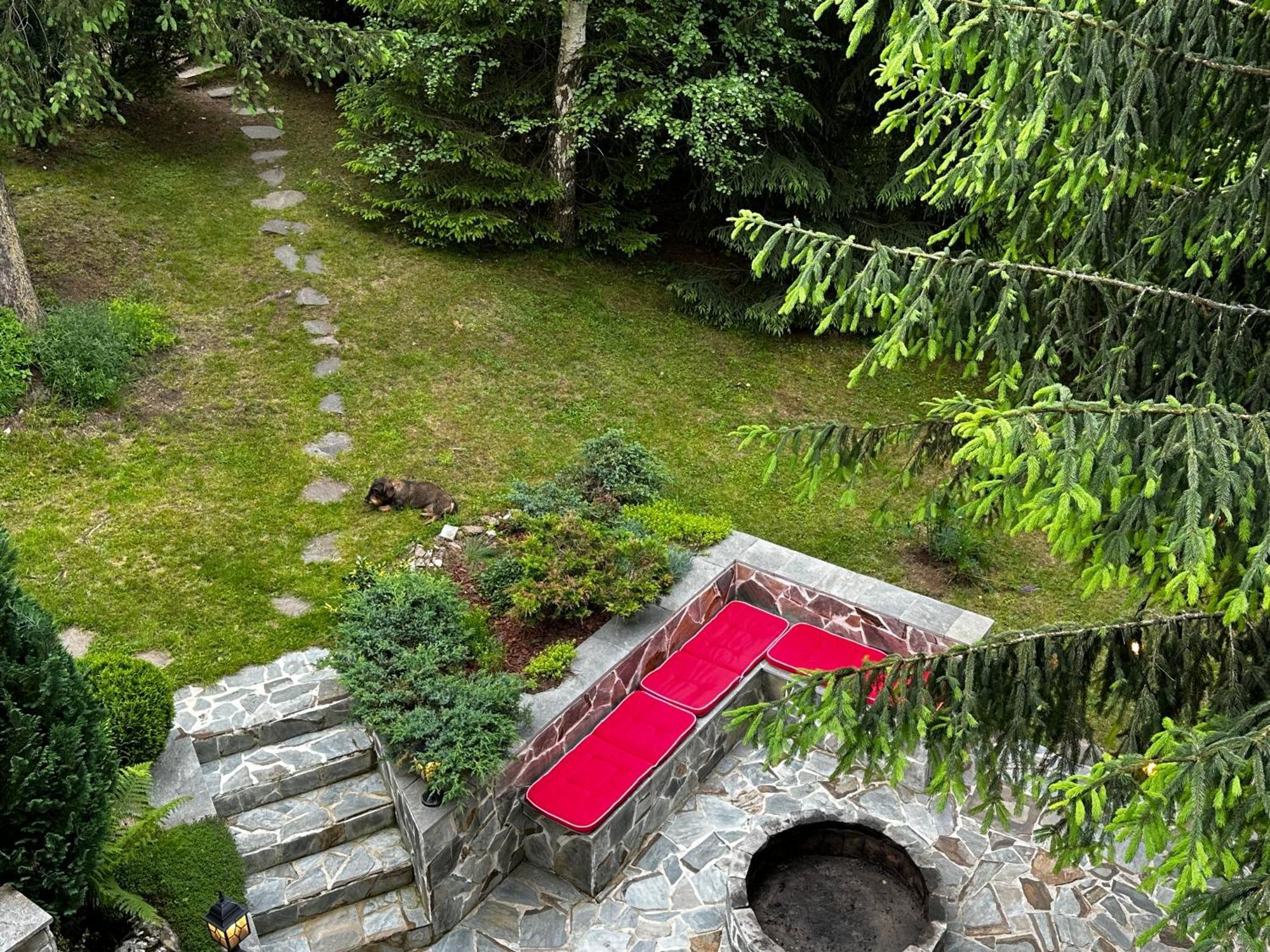 Mountain Chalet - Cabana La Muntele Baisorii Muntele Cacovei  Экстерьер фото